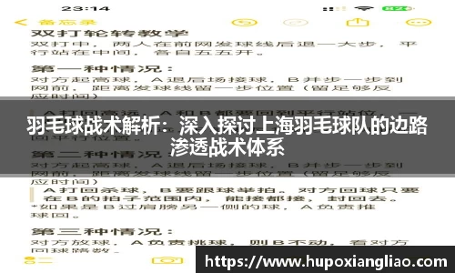 羽毛球战术解析：深入探讨上海羽毛球队的边路渗透战术体系